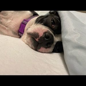 Meet your Posher, Marykate